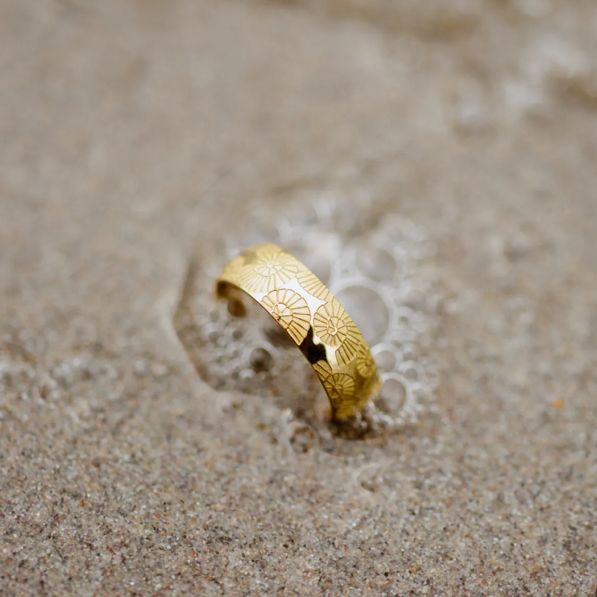 Ammonite Shell Ring Silber