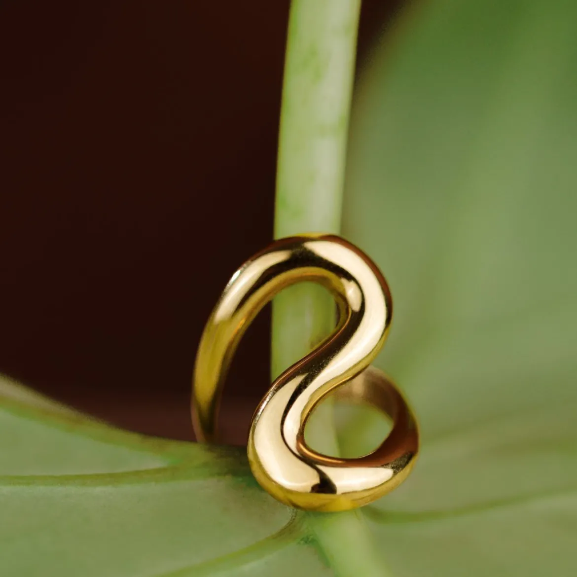 Coiled Ring Roségold