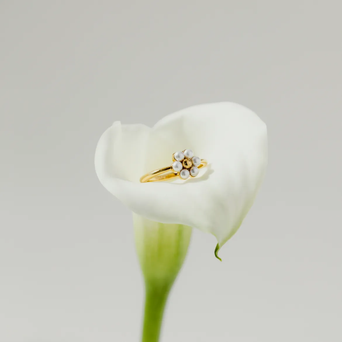 Daisy Ring Roségold