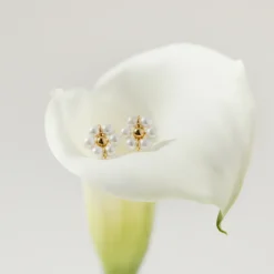 Daisy Studs Gold
