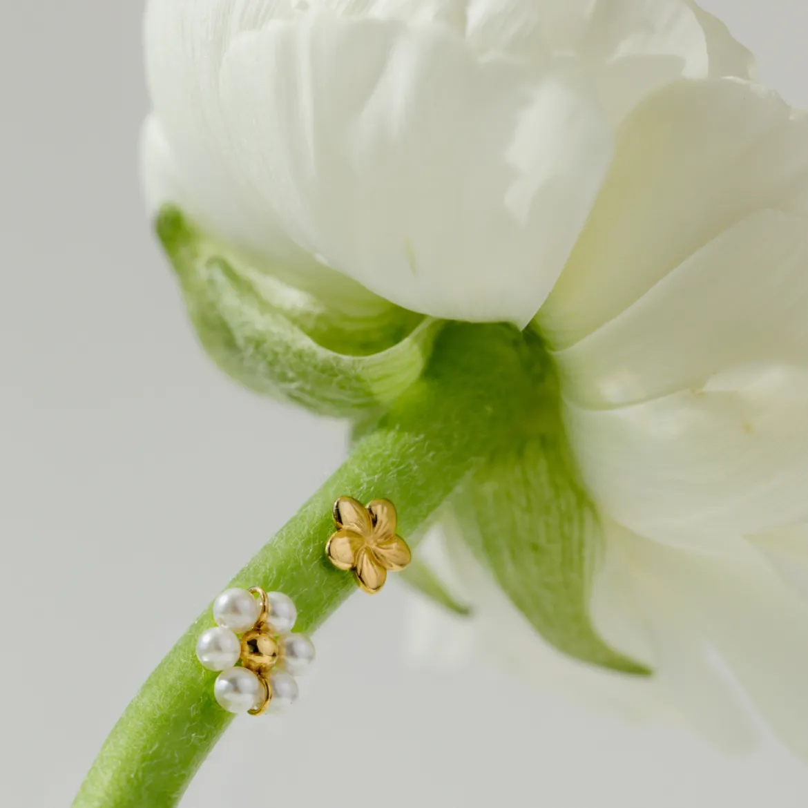 Daisy Studs Silber