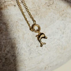 Dolphin Classic Chain Necklace Set Roségold