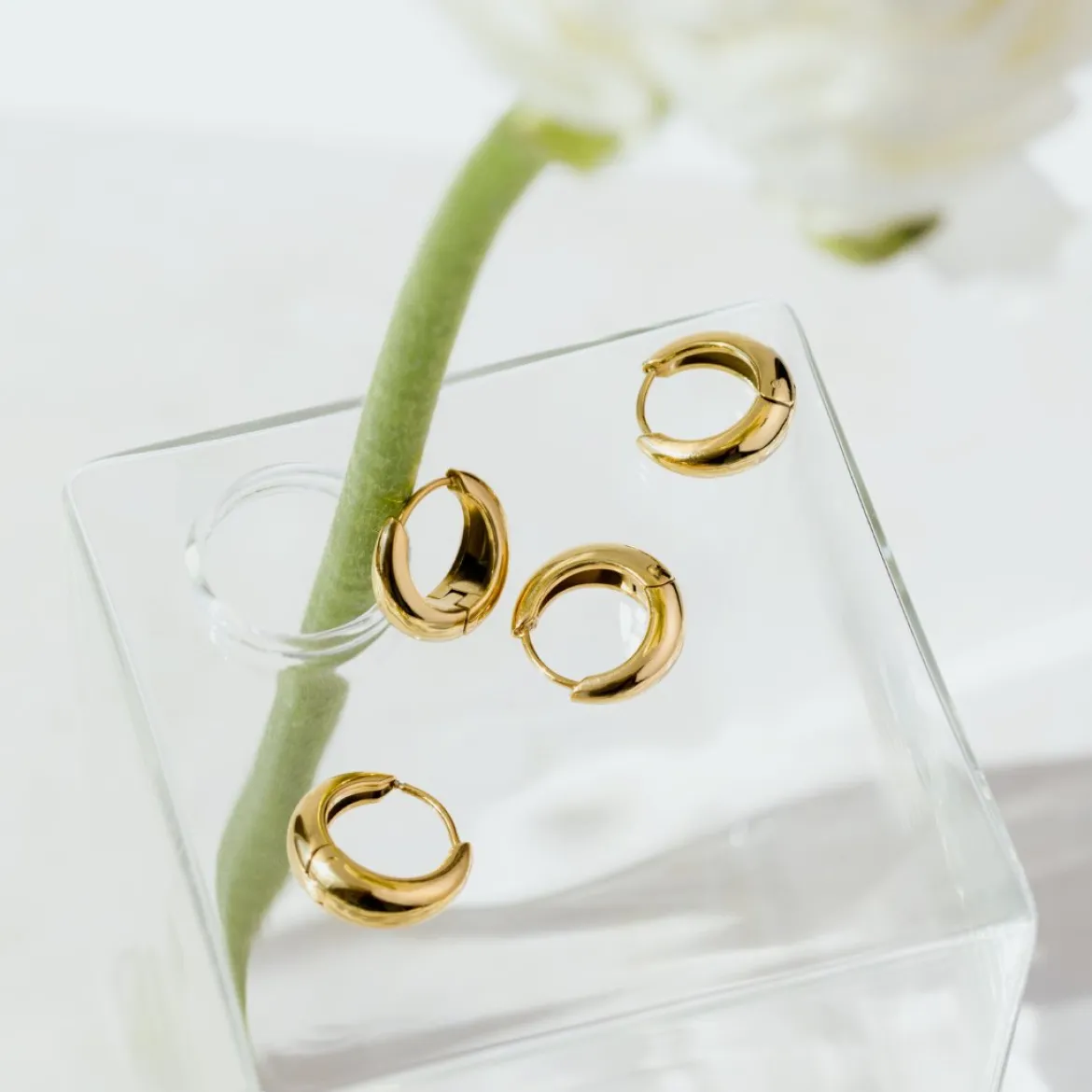 Gilded Curve Hoops Roségold