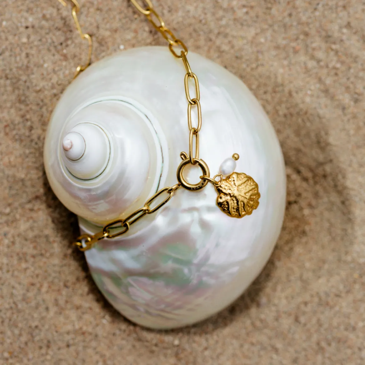 Ocean Lovers Oval Links Necklace Set Roségold