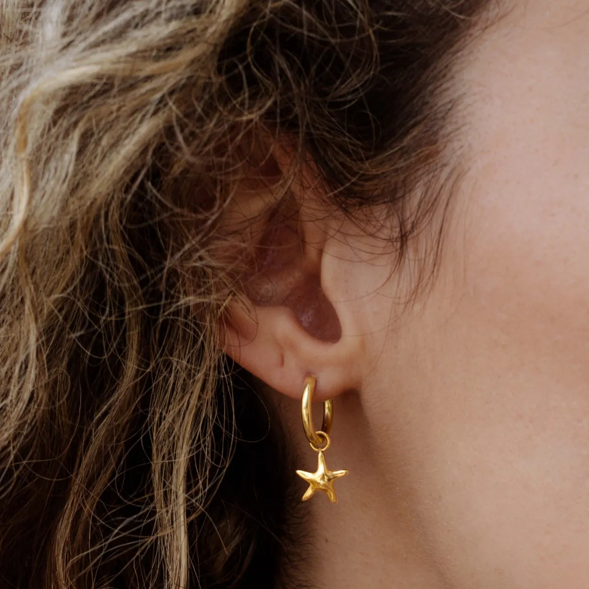Sea Star Hoop Set Small Gold