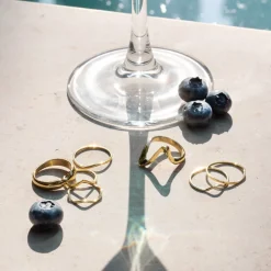 Skinny Dip Ring Duo Roségold