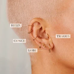 Snake Piercing Gold
