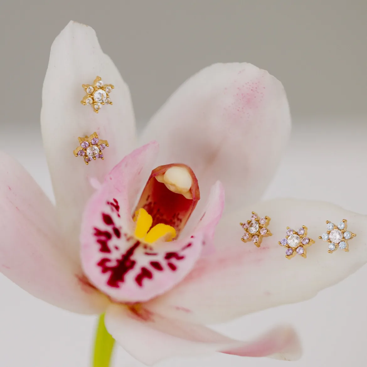 Sparkling Blue Petal Studs Roségold