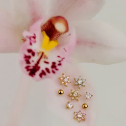 Sparkling Pink Petal Studs Roségold