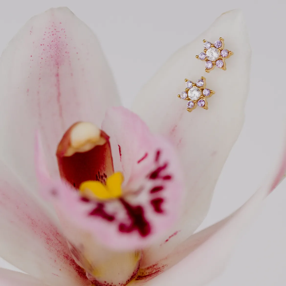 Sparkling Purple Petal Studs Silber