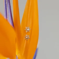 Sparkling White Petal Studs Gold