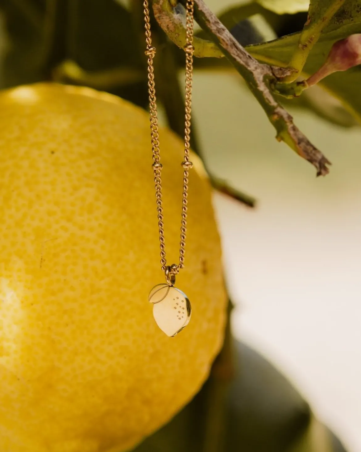 When Life gives you Lemons Necklace Silber